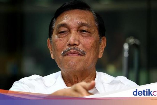 Eropa Ganggu Sawit RI, Luhut Ancam Alihkan Ekspor ke Afrika
