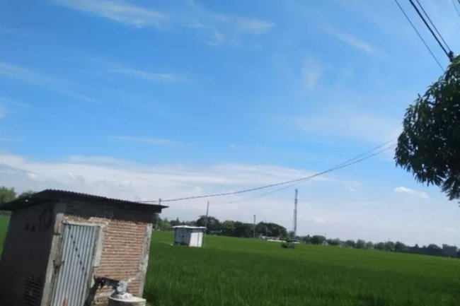 Kasus DBD Turun, Dinkes Imbau Tetap Waspada