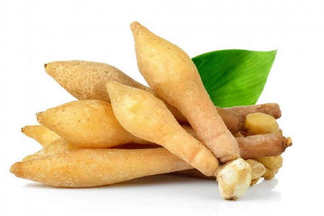 Manfaat Temu Kunci, Tak Hanya Jadi Bahan Bumbu Masakan