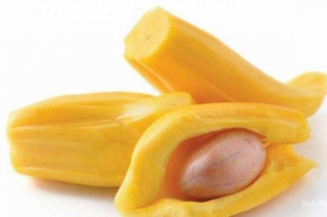 5 Manfaat Buah Nangka Untuk Kesehatan Tubuh Jika Diolah Dengan Baik