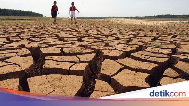 Ilmuwan Umumkan Kedatangan El Nino, Siap-siap Bumi Makin Panas