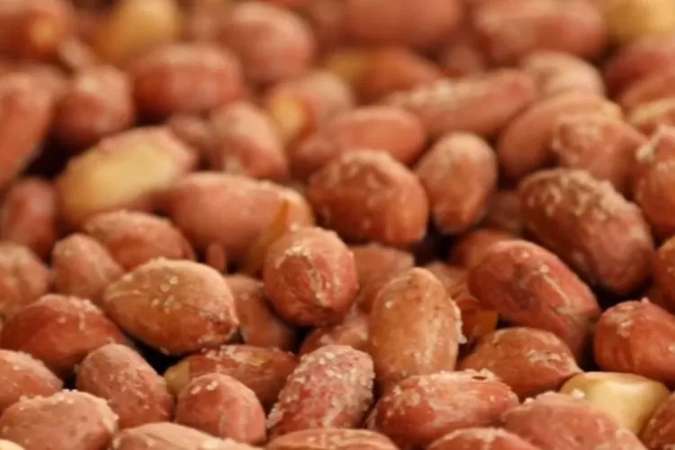 Simak 9 manfaat kesehatan utama dari kacang, nomor 5 menghambat pertumbuhan tumor