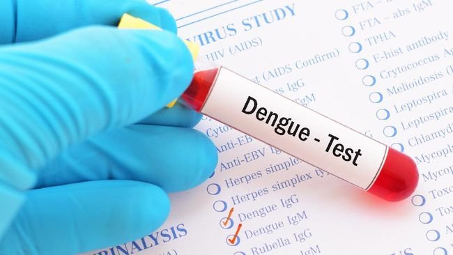 ASEAN Dengue Day 2023: Indonesia Harus Bebas DBD
