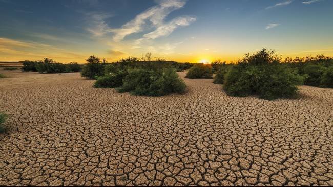 Fakta-Fakta Hari Internasional untuk Memerangi Desertifikasi dan Kekeringan, Diperingati 17 Juni