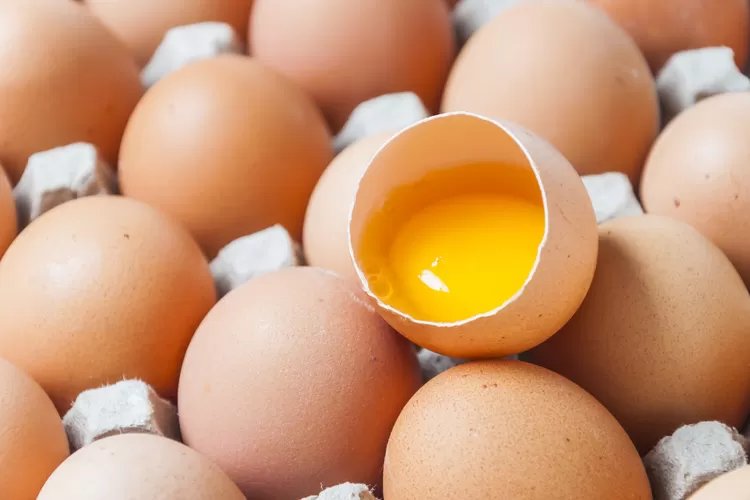 Manfaat Telur untuk Anak ,Sumber Nutrisi Penting untuk Pertumbuhan dan Perkembangan