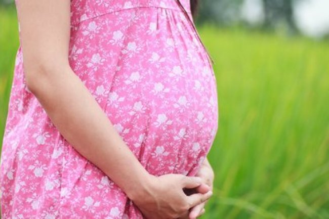 Makanan Vegetarian untuk Ibu Hamil yang Seimbang, Tetap Penuhi Nutrisi Harian