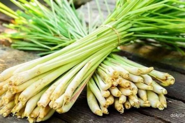 7 Manfaat Serai Untuk Kesehatan Tubuh yang Menarik Untuk Diketahui