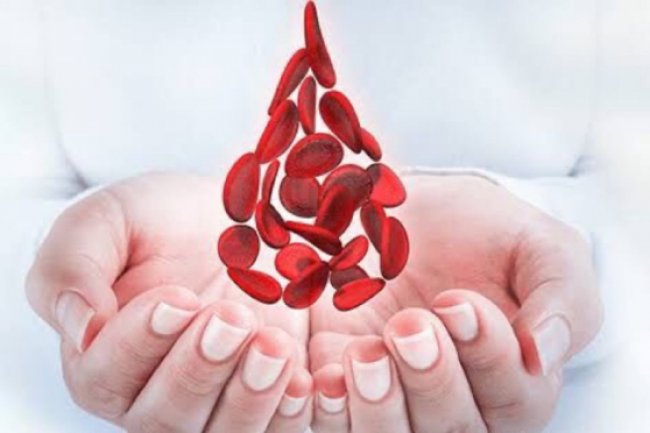 Mengenal Hemoglobin, Fungsi dan Pentingnya Menjaga untuk Kesehatan Tubuh
