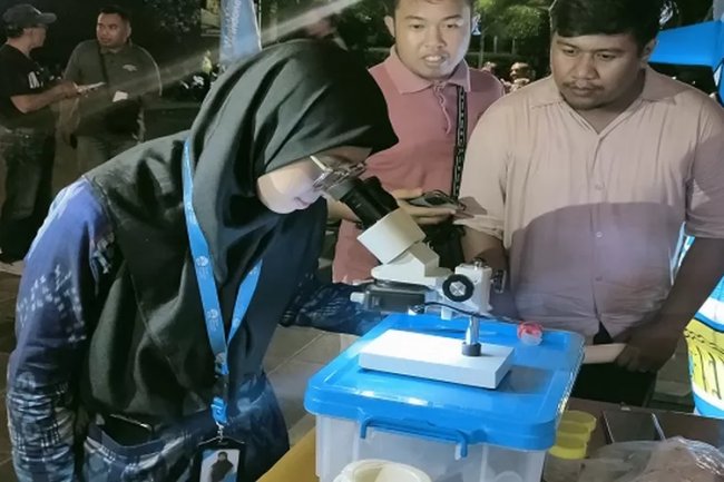 Ketika Kasus DBD Jadi Momok di Buleleng, Puluhan Ribu Nyamuk Wolbachia Dilepas untuk Berantas Penyakit