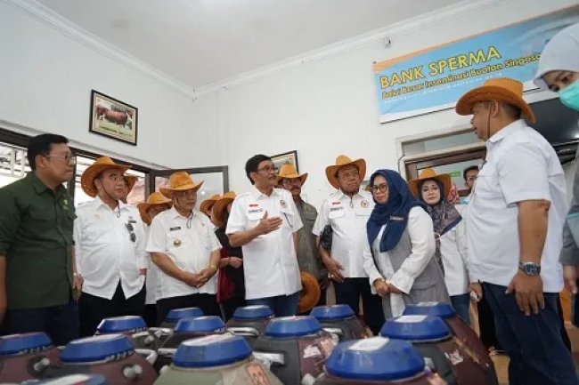 Vaksinasi PMK Kabupaten Tertinggi di Jatim