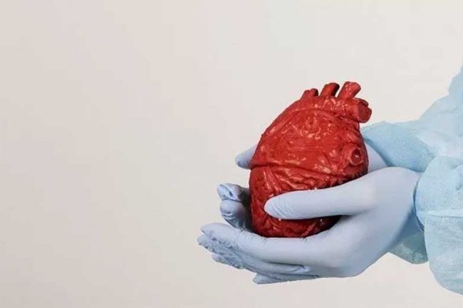 Mengenal Penyakit Jantung Koroner dan Cara Mengobatinya