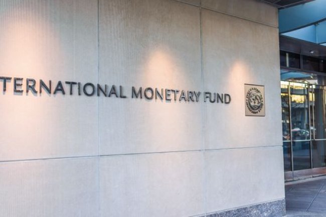 Ahli Bongkar Alasan IMF Minta RI Hapus Hilirisasi, Gegara Ini