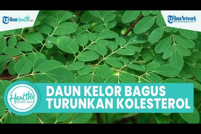 Cara Bikin Skincare Alami dari Daun Kelor, Wajah Mulus Bersinar, Mudah Buatnya