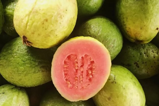 Buah Jambu Menjadi Pilihan Terbaik sebagai Sumber Serat untuk Menunjang Diet Sehat, Yuk Ciwi-ciwi Merapat!