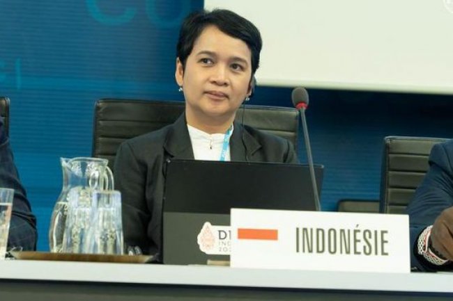 Kominfo Dukung Pemerataan Teknologi Informasi Dunia