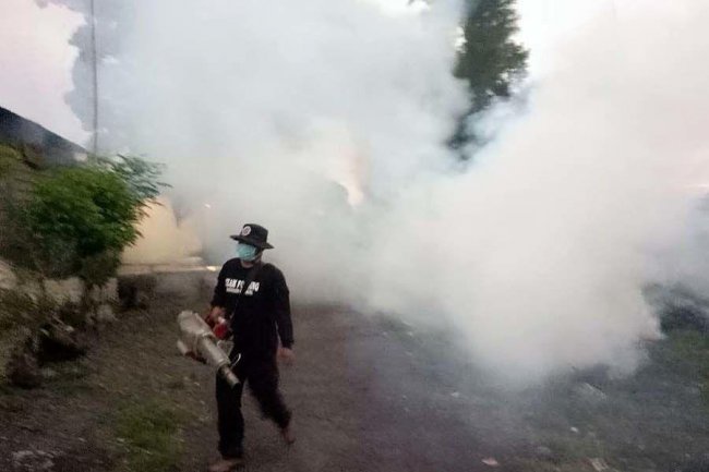 Tertinggi dalam 5 Tahun Terakhir, Kasus DBD di Jembrana Meroket