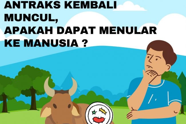 Waspadai Penularan Antraks Pada Manusia
