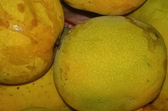 7 Manfaat Buah Mangga; dari Menjaga Kesehatan Jantung, hingga Mencegah Diabetes
