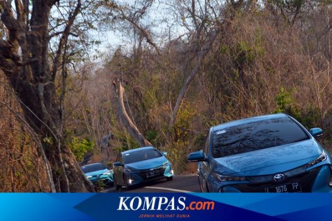 Penjualan Mobil Hybrid Meroket Semester I/2023