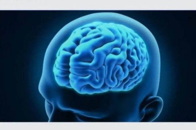 Bikin Happy Seharian, 6 Makanan Mudah Dijangkau Ini Baik bagi Kesehatan Otak