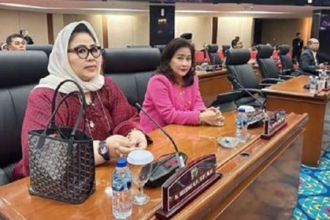 Kontroversi Cinta Mega, Diduga Main Game Slot hingga Pernah Diperiksa KPK