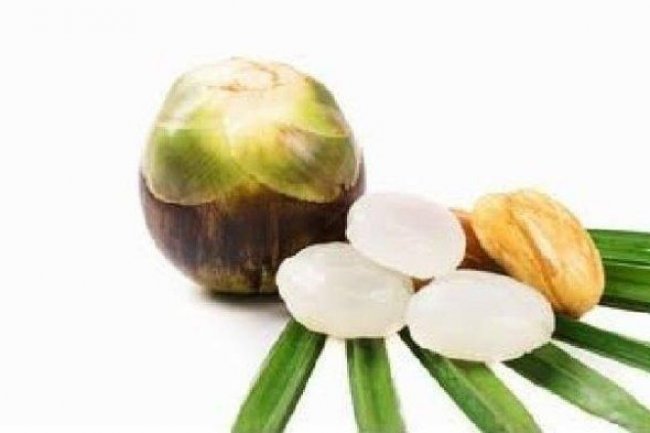 12 Manfaat Buah Lontar untuk Kesehatan dan Kecantikan