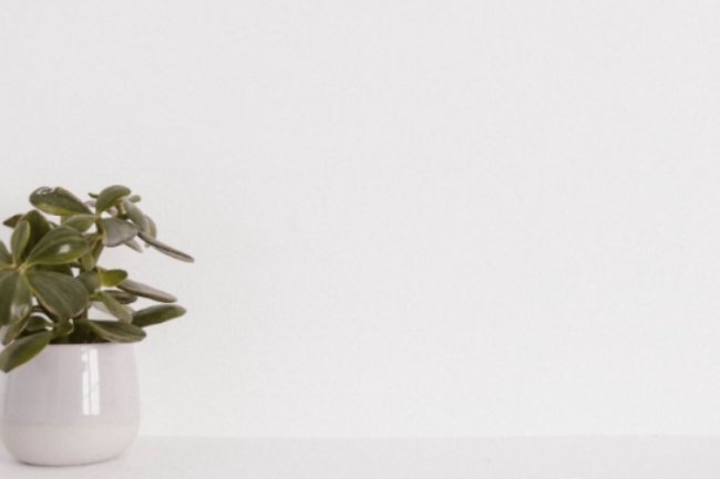 3 Cara Mudah Hilangkan Noda Membandel di Dinding yang Berwarna Putih