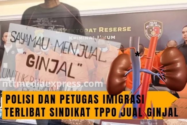 Puan Maharani Lakukan Antisipasi Pencegahan Perdagangan Organ Tubuh, Libatkan Jaringan Internasional