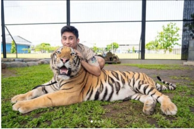 Alshad Ahmad Mengaku Sudah 7 Harimau Mati di Tangannya, Terbaru Cenora