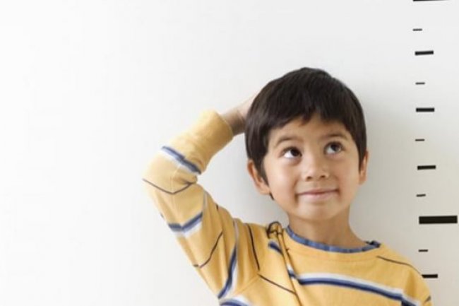 10 Makanan Bernutrisi Penambah Tinggi Badan Anak