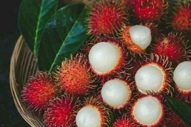 5 Manfaat Luar Biasa Dari Buah Rambutan untuk Kesehatan Kulit Yang Wajib Diketahui