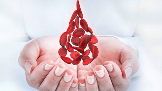 Mengenal Hemoglobin, Fungsi dan Pentingnya Menjaga untuk Kesehatan Tubuh