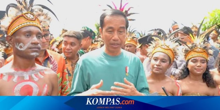 Pilot Susi Air Masih Disandera, Jokowi: Jangan Dilihat Diam, Pemerintah Berupaya Sangat Keras