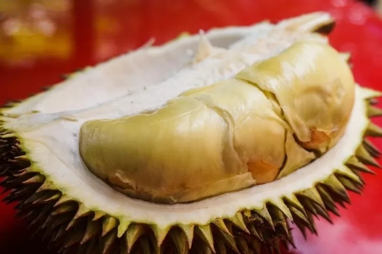 Wajib Tahu, Inilah Manfaat Durian Untuk Kesehatan