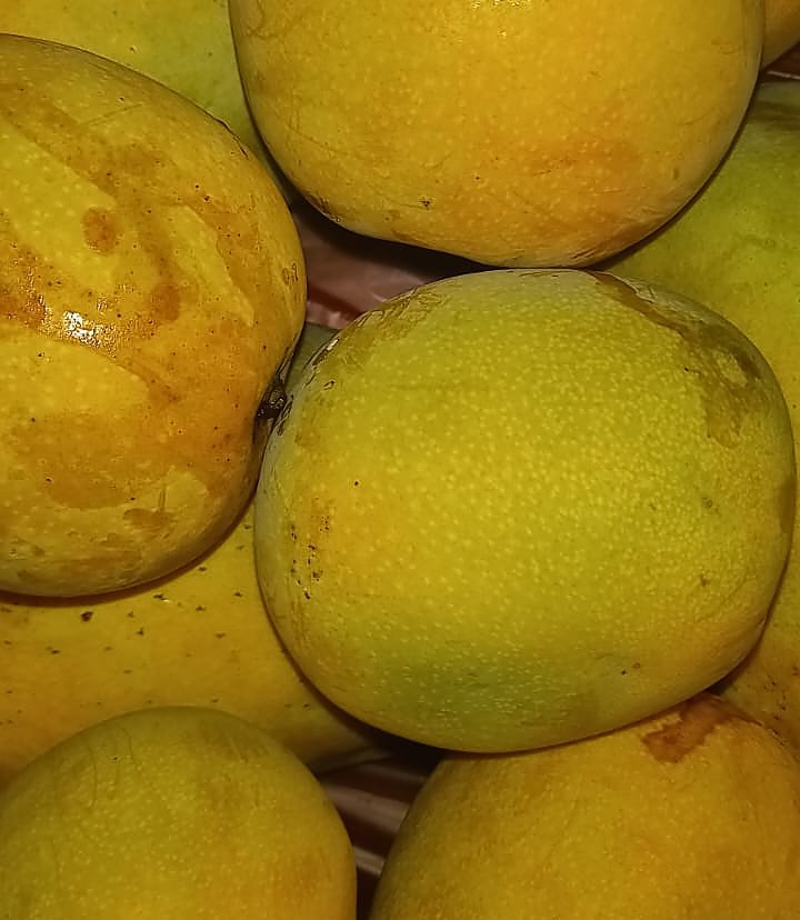 7 Manfaat Buah Mangga; dari Menjaga Kesehatan Jantung, hingga Mencegah Diabetes