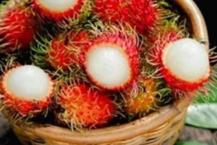 Efek Antioksidan Dari Buah Rambutan Yang Baik Untuk Kesehatan Tubuh