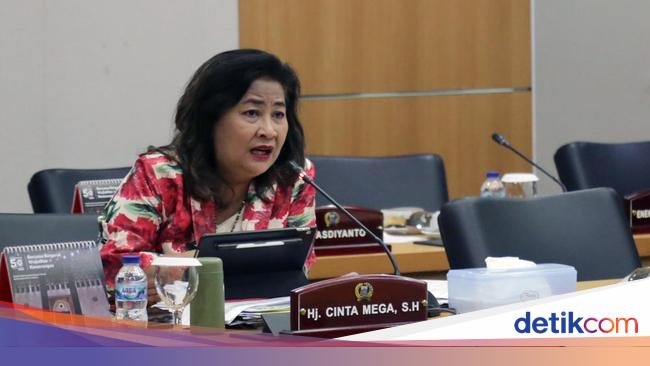 Belum Henti Ancaman Sanksi untuk Cinta Mega Usai Dipecat dari DPRD DKI