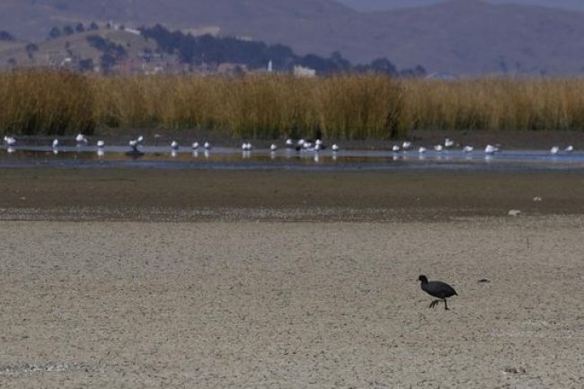 "Malapetaka" Baru Bumi Makan Korban Lagi: Jerman sampai RI