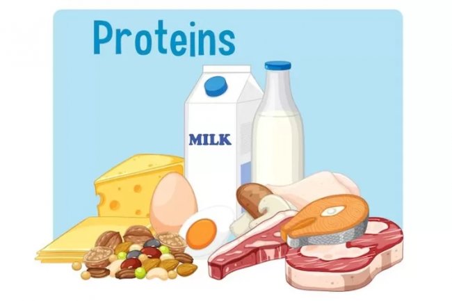 HITUNGLAH! Berapa Protein Yang Dibutuhkan Tubuh Dalam Sehari? Simak Contoh Kasusnya Dari Ibu Ini