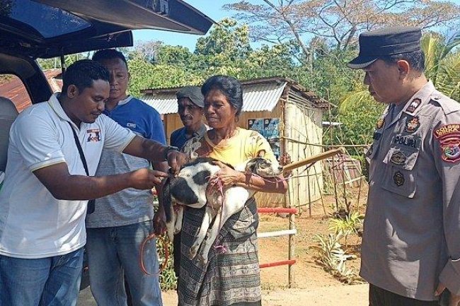 Vaksinasi Rabies Bantuan Istri Kapolri Menyasar Tiga Desa di Kecamatan Talibura