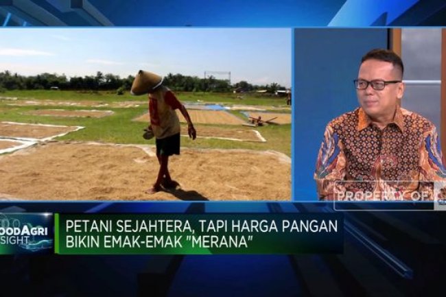NTP Naik, Petani Indonesia Disebut Makin Sejahtera, Benarkah?