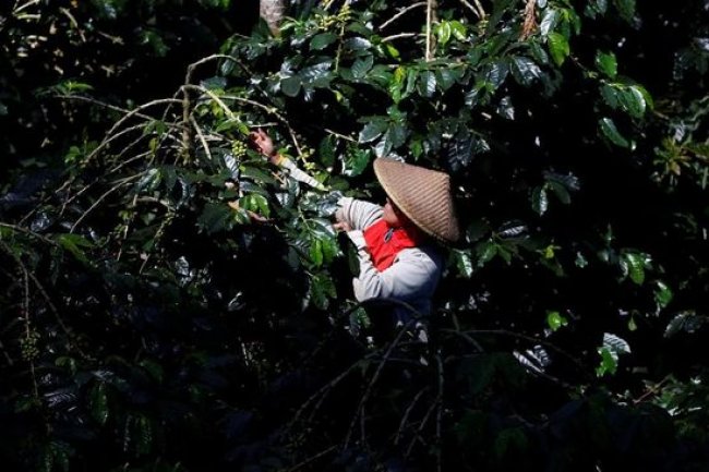 Eropa Bakal Nyesel Seumur Hidup Jika Jegal Harta Karun RI Ini