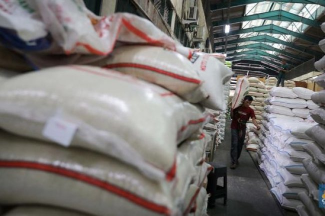 Gawat! RI Siaga 1 Krisis Beras, Harga Naik Gila-gilaan