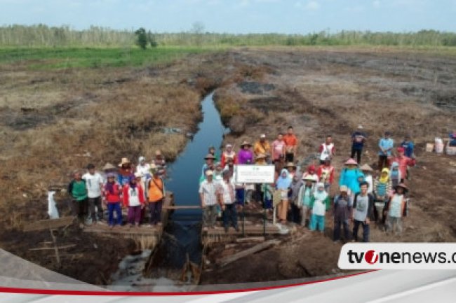 Food Estate: Cerita Buyarnya Mimpi Ketahanan Pangan Kini Disebut Kejahatan Lingkungan