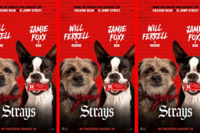 Sinopsis Film Strays (2023), Petualangan Anjing Dibuang Pemiliknya