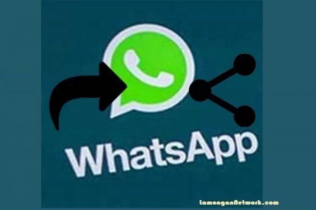 Bukan untuk Sok Suci, Semangat Berbagi Ilmu Bermanfaat Via Sarana Teknologi Informasi