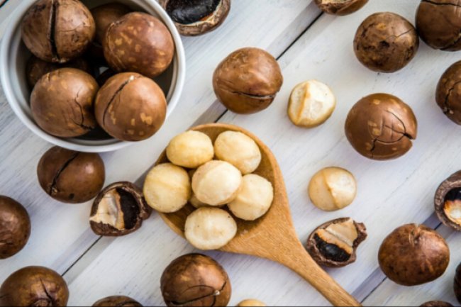 Kacang Macadamia : Pengertian dan Nilai Gizi