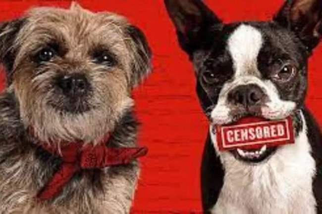 Sinopsis Film Strays, Kisah Seekor Anjing yang Dibuang dan Mencoba Balas Dendam Kepada Tuannya