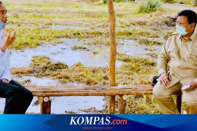 Bola Panas PDI-P soal Food Estate: Prabowo Diserang, Jokowi Membela