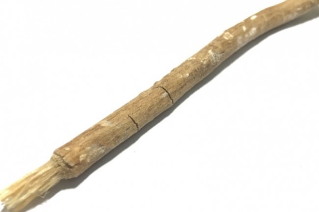 4 Manfaat Penggunaan Siwak bagi Kesehatan Gigi dan Mulut